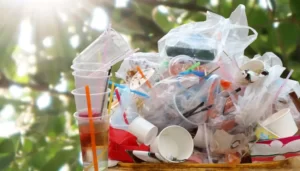 The end of the single use plastic 1 The end of the monoplastic use